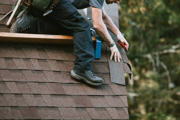 Best Roof Leak Repair  in Elfers, FL